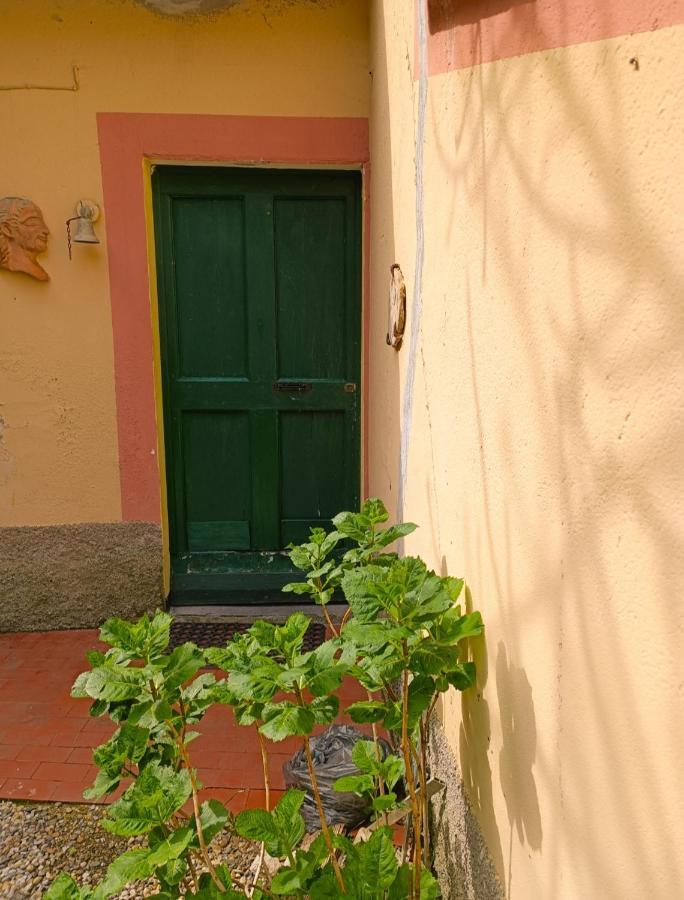 Norina'S House Villa Monterosso al Mare Eksteriør bilde